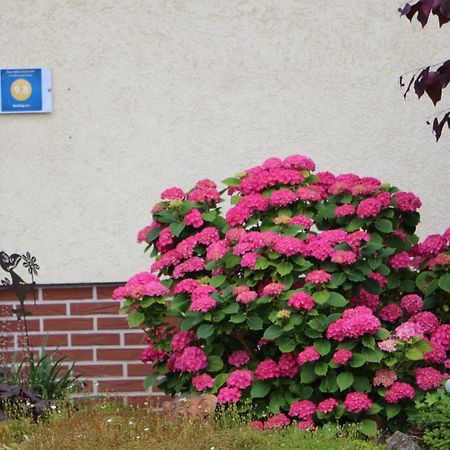 Ferienwohnung-Wieber Kappel-Grafenhausen Zewnętrze zdjęcie